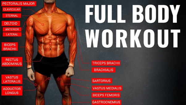 The Full-Body Workout For Serious Gain 